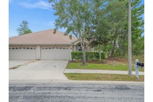 13049 Moonstone Way, SPRING HILL