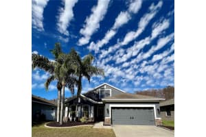 13548 Old Florida Cir, HUDSON