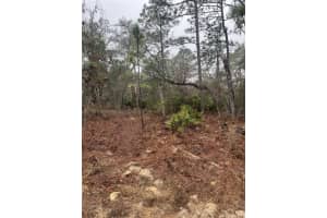 6692 N Airmont Dr, DUNNELLON