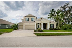 4243 Glade Wood Loop, NEW PORT RICHEY