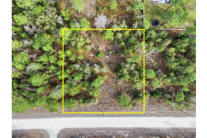 Chimney Swift Rd, WEEKI WACHEE