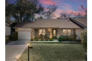 6580 Brambleleaf Dr, SPRING HILL