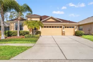 3303 Stonegate Falls Dr, LAND O LAKES