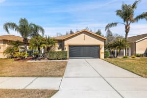 20907 Diamonte Dr, LAND O LAKES