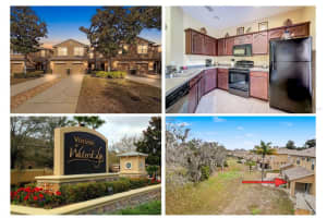 11807 Castine St, NEW PORT RICHEY 11807 Castine St, NEW PORT RICHEY