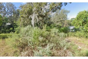 12130 Smokey Lake Loop, NEW PORT RICHEY