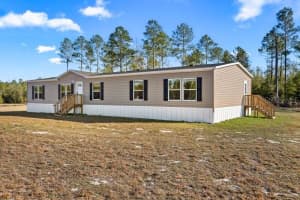 15473 157 Pt, LIVE OAK