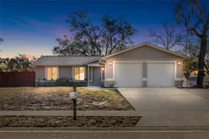 10220 Turkey Oak Dr, NEW PORT RICHEY