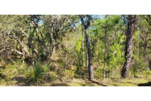 Lot 56 Michigan Ave, WEEKI WACHEE