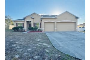 11428 Pike Ave, SPRING HILL