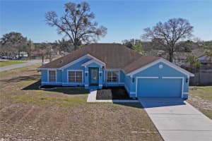 10318 Gifford Dr, SPRING HILL