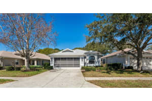 14465 Middle Fairway Dr, SPRING HILL,