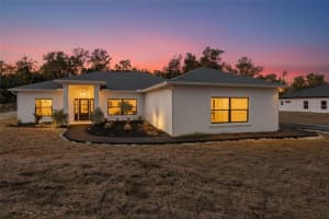 34111 August Ave, WEBSTER