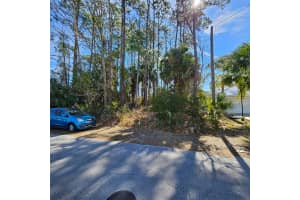 72 Brownstone Ln, PALM COAST