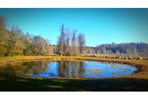 1106 Fox Hunter Rd, PERRY