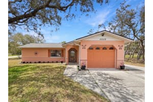 12229 Cedro St, SPRING HILL