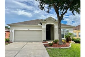 11051 Belle Haven Dr, NEW PORT RICHEY