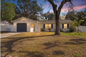 5236 Derby Ave, SPRING HILL