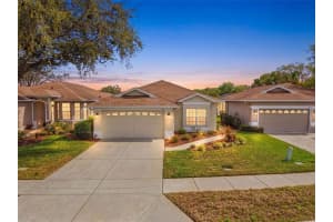 15021 Tamarind Loop, SPRING HILL 15021 Tamarind Loop, SPRING HILL