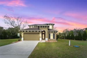 5533 Tower Rd, LAND O LAKES