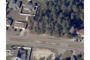 Marion Oaks Manor, OCALA