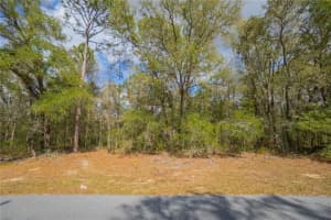 8743 N Sandree Dr, CITRUS SPRINGS