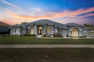 4061 Misty View Dr, SPRING HILL