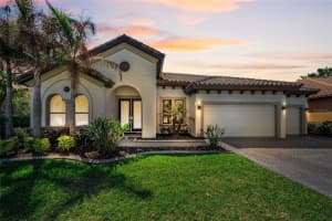 11891 Frost Aster Dr, RIVERVIEW 11891 Frost Aster Dr, RIVERVIEW