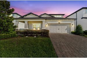 19779 Morsani Rd, LUTZ