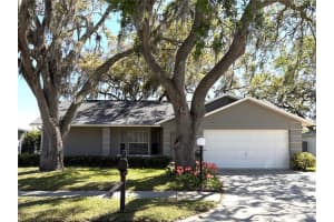 8648 Gold Pine Dr, PORT RICHEY 8648 Gold Pine Dr, PORT RICHEY