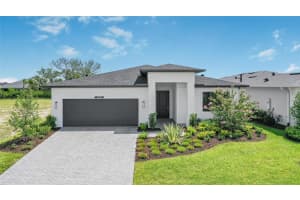 14375 Hammock Oak St, PARRISH 14375 Hammock Oak St, PARRISH