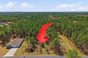 Lot 25 Thrasher Ave, WEEKI WACHEE Lot 25 Thrasher Ave, WEEKI WACHEE