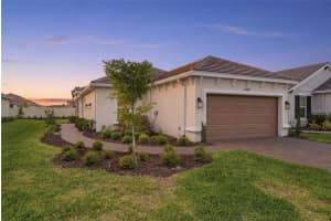 29485 Velletri Ln, WESLEY CHAPEL
