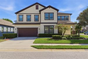 4924 Butler National Dr, WESLEY CHAPEL