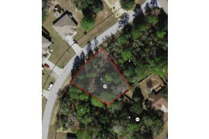 8311 N Primrose Dr, CITRUS SPRINGS