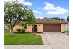 4242 Riverwood Dr, NEW PORT RICHEY 4242 Riverwood Dr, NEW PORT RICHEY