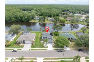 2487 Saddlewood Ln, PALM HARBOR