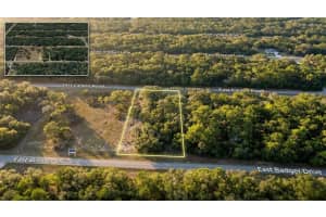 1728 E Badger Dr, DUNNELLON