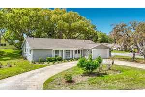 12709 Castleberry Ct, HUDSON