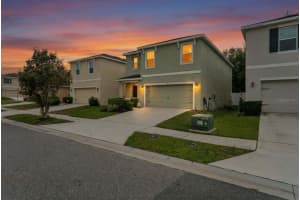 3517 Winterberry Ln, VALRICO