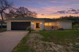 2314 Danforth Rd, SPRING HILL