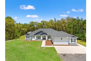 11099 Yellow Hammer Rd, WEEKI WACHEE