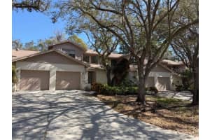 1913 Whispering Way, TARPON SPRINGS 1913 Whispering Way, TARPON SPRINGS