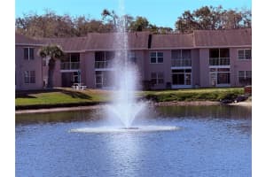 6519 Spring Flower Dr #22, NEW PORT RICHEY