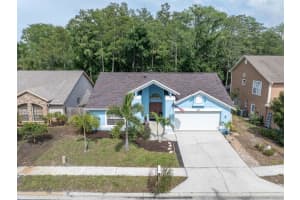 1938 Wood Thrush St, TARPON SPRINGS 1938 Wood Thrush St, TARPON SPRINGS