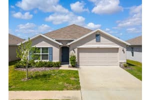 13196 Golden Lime Ave, SPRING HILL
