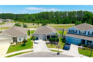 18379 Falling Pine Needle Ln, LAND O LAKES