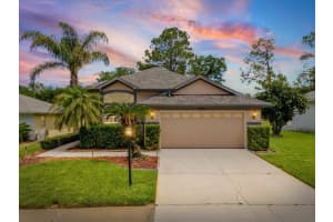 9631 Oakwood Hills Ct, NEW PORT RICHEY