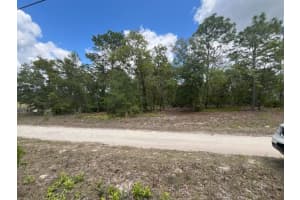 3726 W Spoon Wood Ct, DUNNELLON
