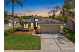 26714 Middleground Loop, WESLEY CHAPEL
